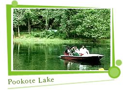 Pookote Lake