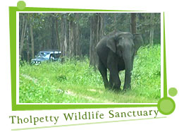 Tholpetty Wildlife Sanctuary